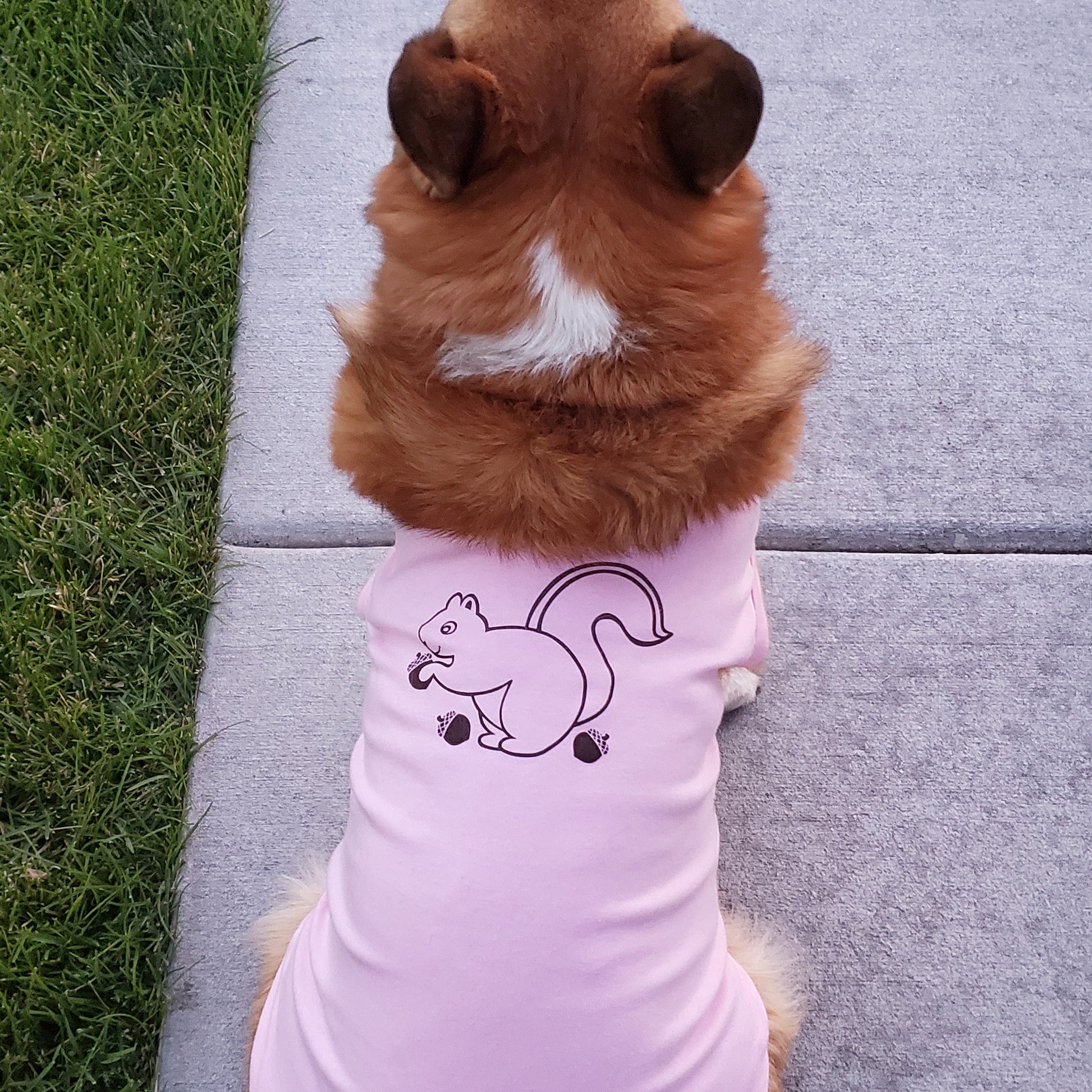 For Dogs - Hand Screen Printed Pink T-Shirt with Squirrel Artwork