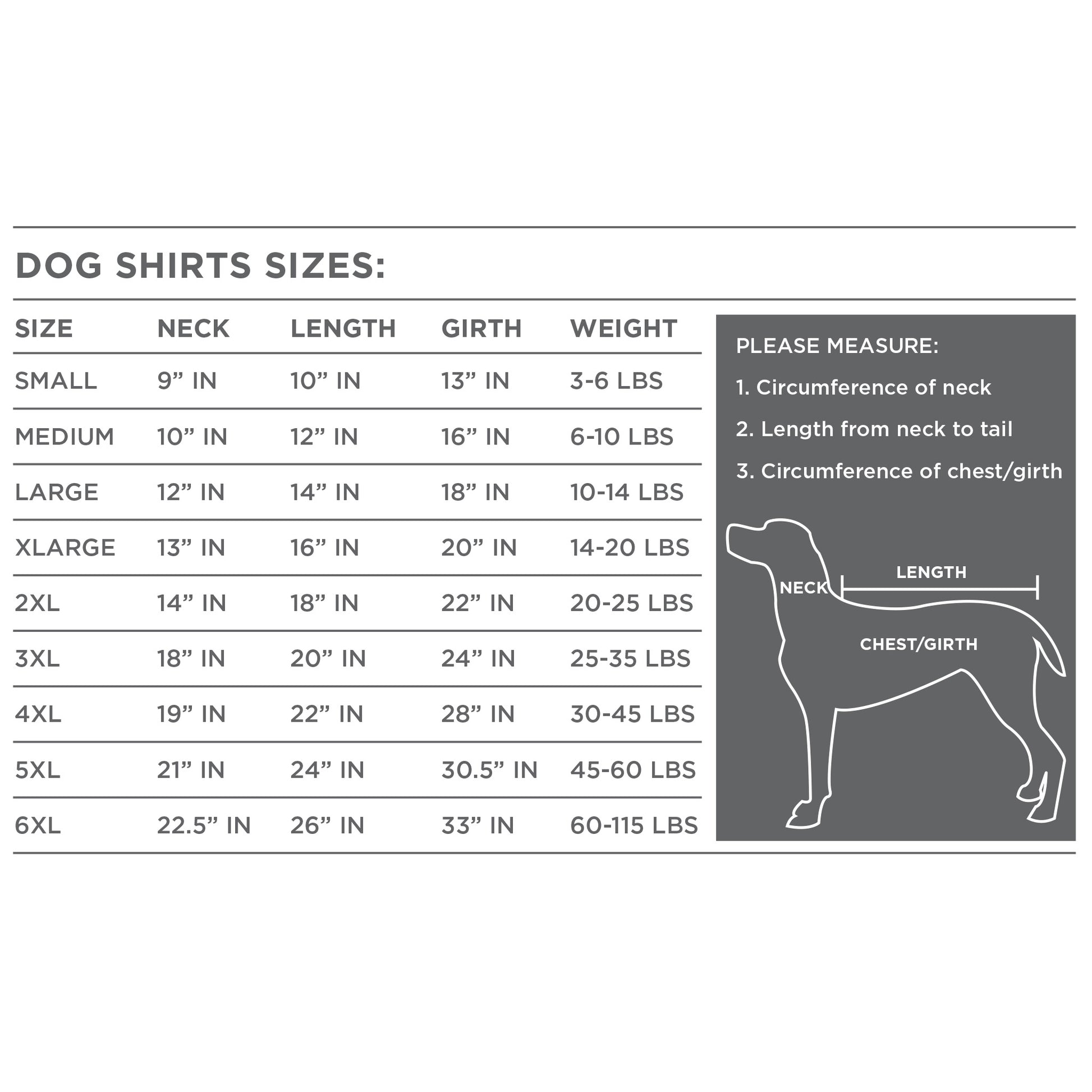 For Dogs - Hand Screen Printed Gray T-Shirt with Squirrel Artwork