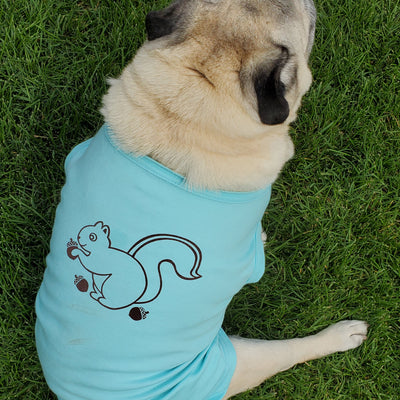 For Dogs - Hand Screen Printed Aqua Blue T-Shirt with Squirrel Artwork